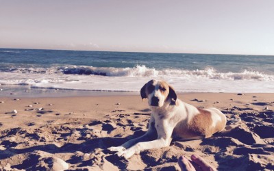 … Den Strand genießen